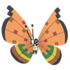 Vivillon estepa