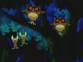 Hoothoot