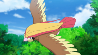 Imagen de Pidgeot