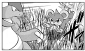 Kangaskhan de X contra un Litleo salvaje.