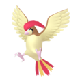 Pidgeotto HOME.png