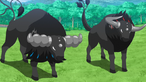 Tauros de Paldea
