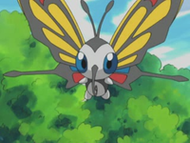 Beautifly volando.