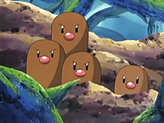 Diglett