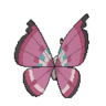 Vivillon floral