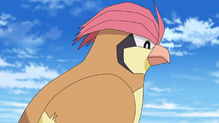 Pidgeotto