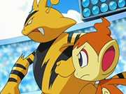EP521 Electabuzz y Chimchar.png