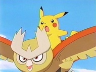 Noctowl y Pikachu.