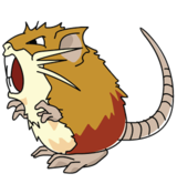 Raticate (anime SO).png