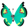 Vivillon vergel