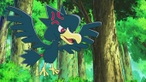 Murkrow