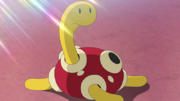 EP1273 Shuckle.png