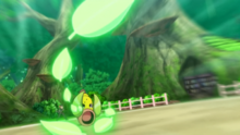 Weepinbell usando hoja afilada