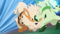 Arcanine de Diana usando velocidad extrema.