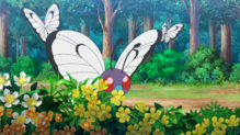 Butterfree