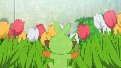 Grookey - WikiDex, la enciclopedia Pokémon