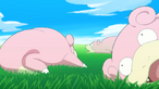 Slowpoke