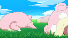 Slowpoke