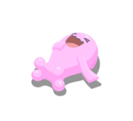 Ocultacola variocolor