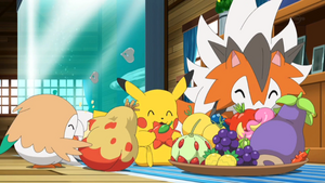 Baya Wikano en el plato de comida de los Pokémon de Ash.