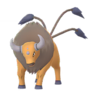Tauros