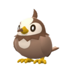 Imagen de Starly variocolor macho en Pokémon Diamante Brillante y Pokémon Perla Reluciente