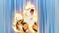 Arcanine de Diana activando justiciero.