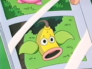 EP189 Foto de Weepinbell.png