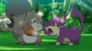 EP1226 Skwovet y Rattata.png