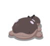 Clodsire