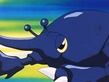 Heracross