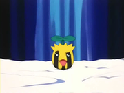 EP189 Sunkern (4).png