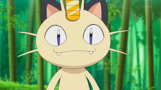 Imagen de Meowth del Equipo Rocket/Meowth del Team Rocket