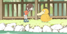 Psyduck