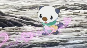 Snivy usando atracción sobre Oshawott.