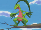 Grovyle