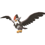 Imagen de Staraptor macho en Pokémon Diamante Brillante y Pokémon Perla Reluciente