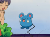 Azurill