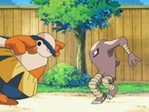 Hariyama