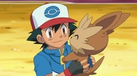 Lillipup y Ash.