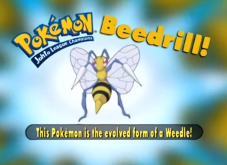 Beedrill