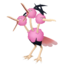 Dodrio rosa HOME.png