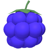 Modelado 3D de una baya de uva.