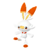 Scorbunny