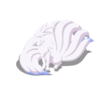 Cola liviana variocolor