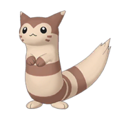 Furret