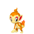 Chimchar HOME.png