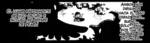 Starly