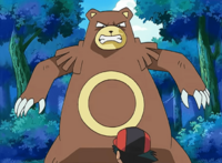 Ursaring cuando era salvaje.