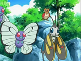 Butterfree